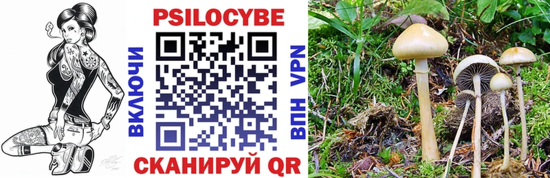 где найти наркотики блэк спрут ONION Псилоцибиновые грибы Psilocybe Харабали